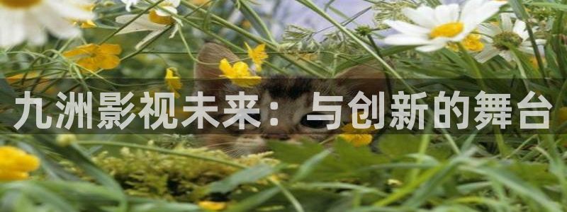 全能电影院