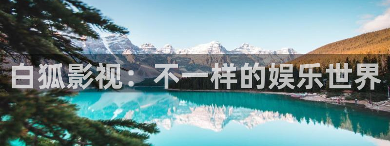 全能影视电视剧免费观看