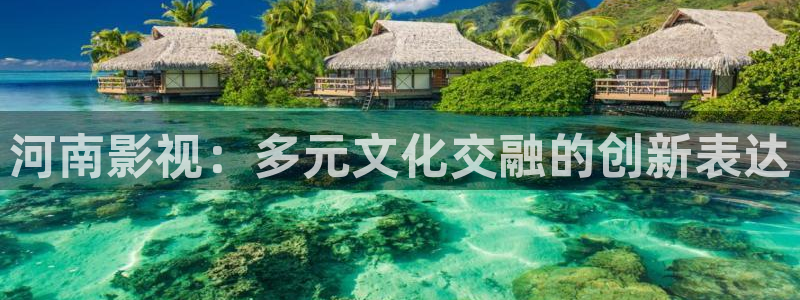 全能影视免费在线观看：河南影视：多元文化交融的创新表达