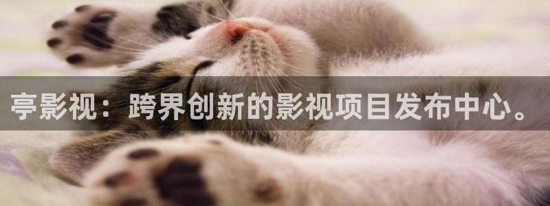 全能视频