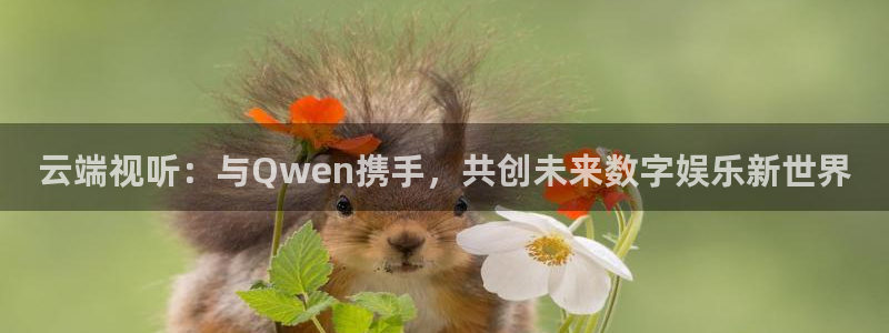 全能影视网站