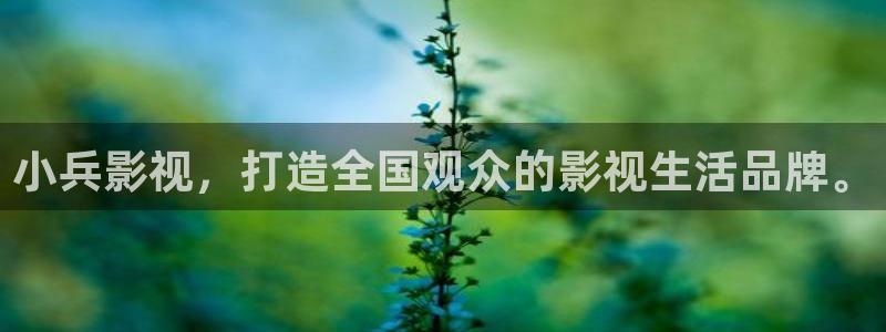 玫瑰的故事全能影视