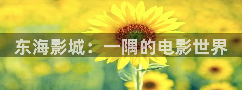 全能视频在线观看