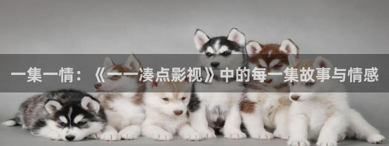 全能影院在线观看