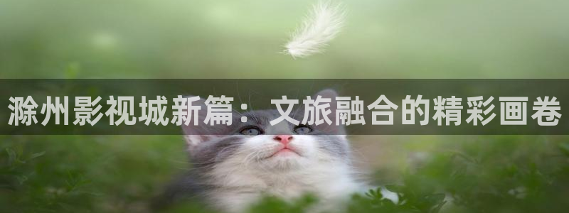 全能影院在线观看