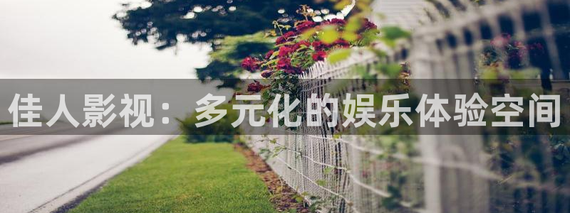 全能影视剧：佳人影视：多元化的娱乐体验空间