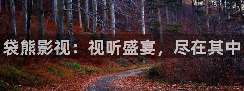 全能播放器电视版：袋熊影视：视听盛宴，尽在其中