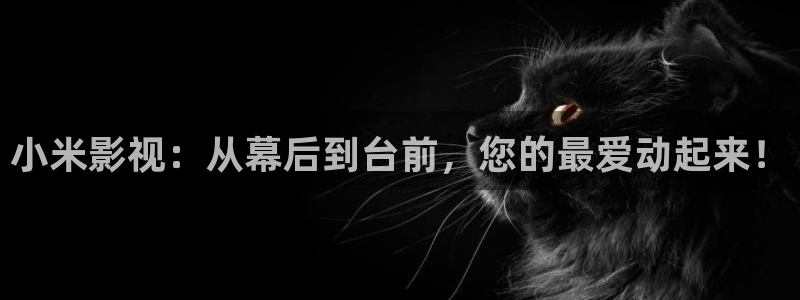 全能影视软件：小米影视：从幕后到台前，您的最爱动起来！